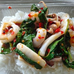 ผัดกะเพราปลาหมึก