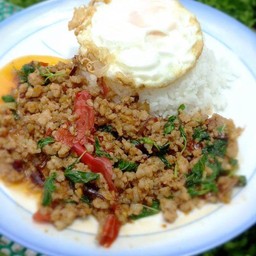 ข้าวกระเพราหมูสับ