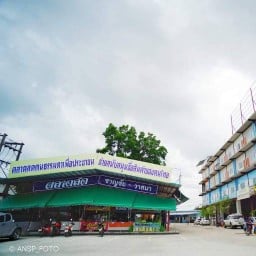 ตลาดนัดชาญชัย-วาสนา อำเภอเมืองนครนายก