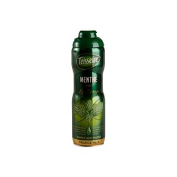 Teisseire Green Mint Syrup 600ml.