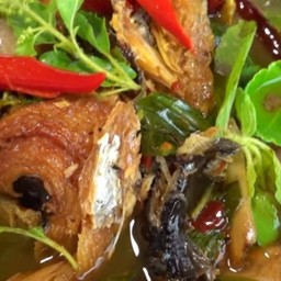 ต้มโคล้งปลาย่าง