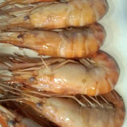 Topping กุ้ง