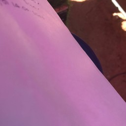 เฉาก๊วย เต็งหนึ่งตลาดบ้านเพ