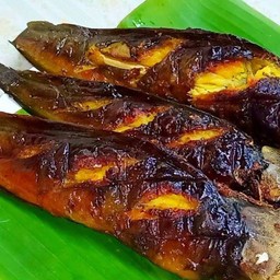 ปลาดุกย่าง
