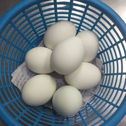 ไข่เค็ม