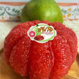 ส้มโอทับทิมสยามอัญมณีกินได้ปากพนัง