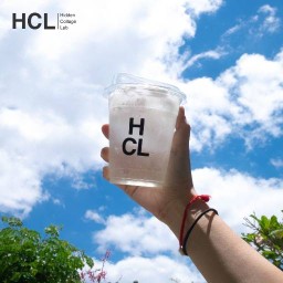 HCL : Hidden Collage Lab