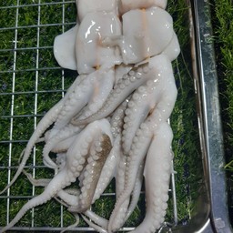 ปุ้ยผัดกระเพา