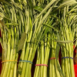 ผักบุ้ง