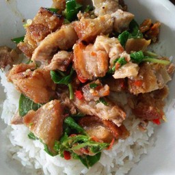 ข้าวราดผัดกระเพราหมูกรอบ