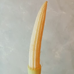 หม่าล่าอาหมวย คลองสามวา