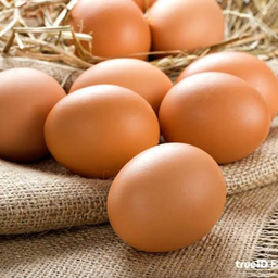 ไข่ไก่สด