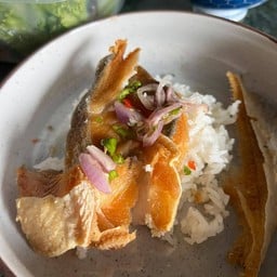 ข้าวปลาจาะระเม็ดแกะ (Khun June menu)