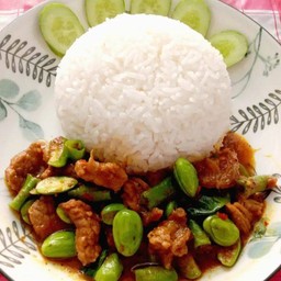 ผัดเครื่องแกงสตอหมูราดข้าว