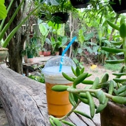 แลช้างคาเฟ่ Laechangcafe