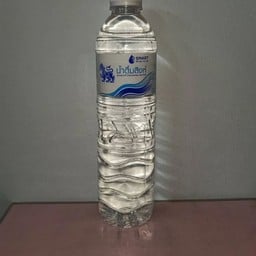 น้ำดื่มสิงห์ 600มล