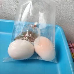 ไข่ต้ม