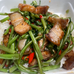 ผัดผักบุ้งหมูกรอบ(กับข้าว)