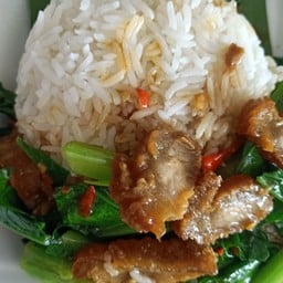 ร้านกะเพราท้ายซอย