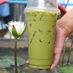 ชาเขียว