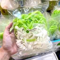 มะพร้าวแก้วแบบเส้น