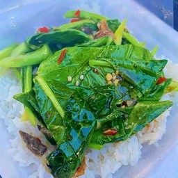 ผัดคะน้าปลาเค็มราดข้าว