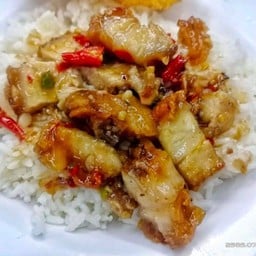 ก๋วยเตี๋ยวน้องเอ๋ หลังราชภัฎ