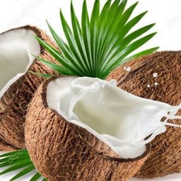 เด่น กะทิชุมพร