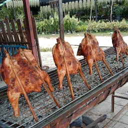 ร้านไก่ย่างวิเชียรบุรี เลียบคลองทวีวัฒนา