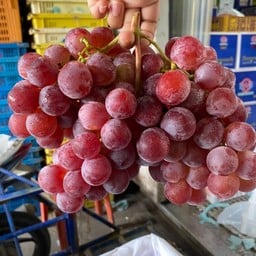 องุ่นแดงนำเข้า หวาน อร่อย
