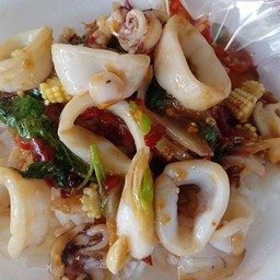 กะเพาปลาหมึก