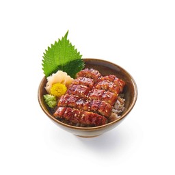 Unagi Don