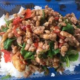 ทองใสอาหารป่า