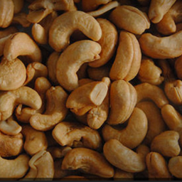 เม็ดมะม่วงหิมพานห์