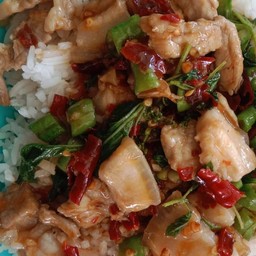 กระเพราหมูสามชั้นราดข้าว