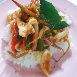 ผัดพริกแกงปลาหมึกสดราดข้าว