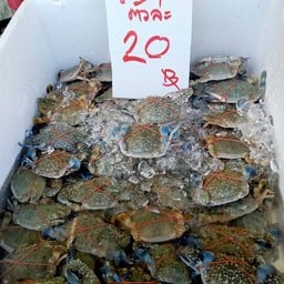 ฮ่องเต้ ปลาเผา