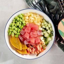 Tuna Surfer