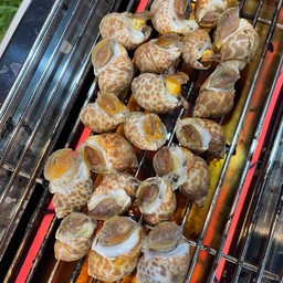 หอยหวานเผา ตัวมหญ่ เด้ง กรึบสู้ฟัน ขนาด 500 กรัม