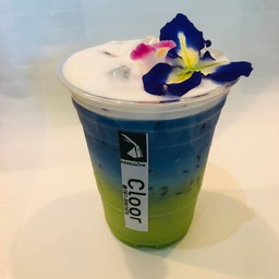 Green Butterfly pea