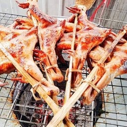 มะเดี่ยว ไก่ย่างเขาสวนกวาง