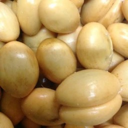 สละ (ปลอก)