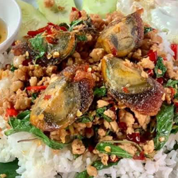 ข้าวกะเพราไก่+ไข่เยี่ยวม้า