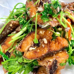 ปลาช่อนผัดขึ้นฉ่าย