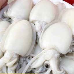 เพิ่ม  หมึกสด