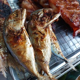 ปลาทูย่าง