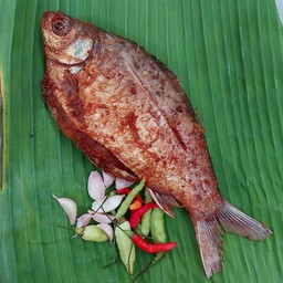 ปลาส้มทอด  (ตัว)