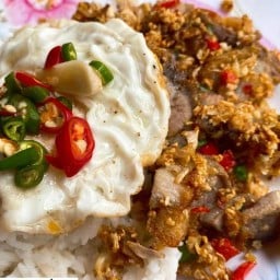 แซลมอนดอง สตาร์เกาหลี