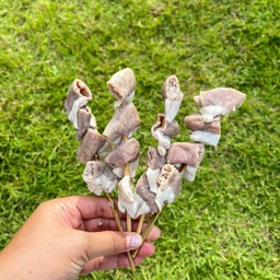 ไส้อ่อน