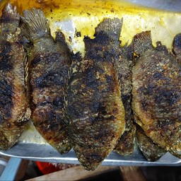 ปลาหมอ ย่างเกลือ